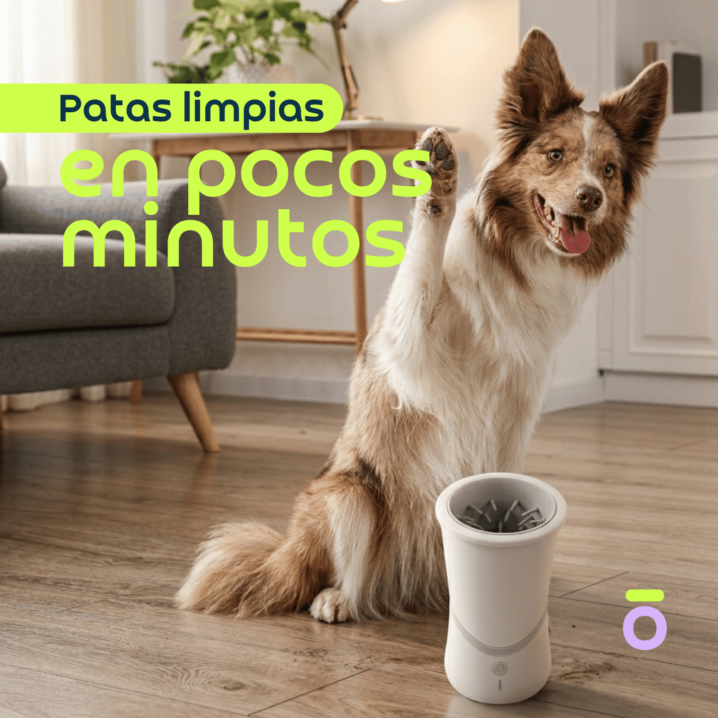 LIMPIADOR AUTOMÁTICO DE PATAS