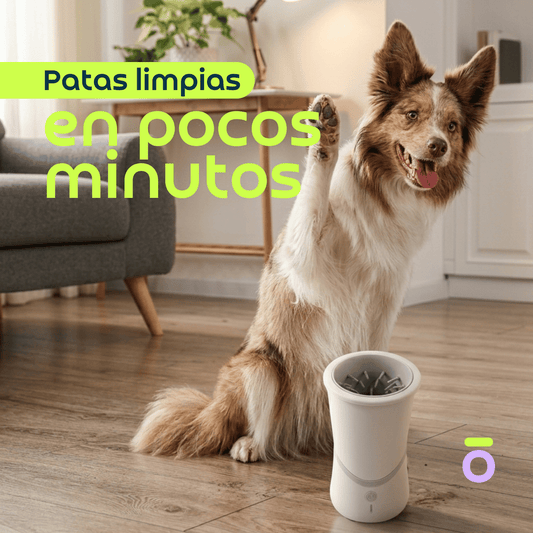 LIMPIADOR AUTOMÁTICO DE PATAS